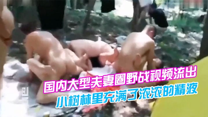 国内大型夫妻圈野战视频流出我朋友想知道这是哪里感觉.小树林里充满了浓浓的精液味道