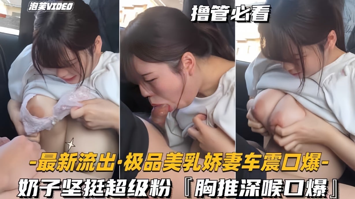 最新流出-极品美乳娇妻车震口爆奶子坚挺超级粉胸推深喉