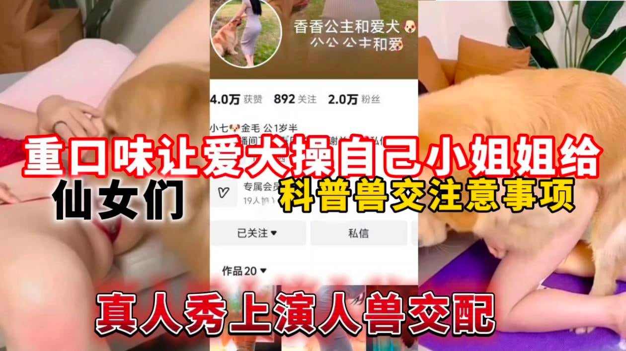 重口味让爱犬操自己小姐姐给仙女们科普兽交注意事项，真人秀上演人兽交配